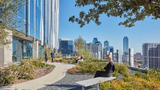Small park on side high-rise building in a major city