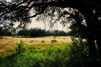 texas hill country