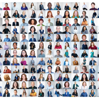 collage of headshots of the Quinn Evans employees