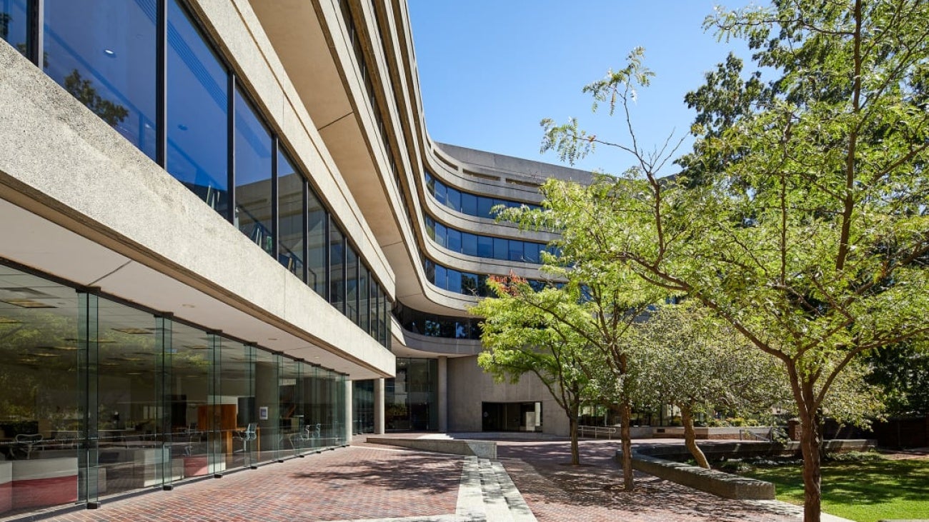 Segmatic office