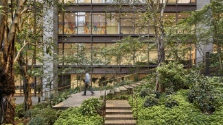 person walking through lush green building courtyard