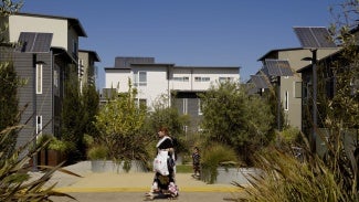 person walking among bushes and between buildings