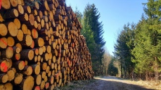 stacks of lumber outside