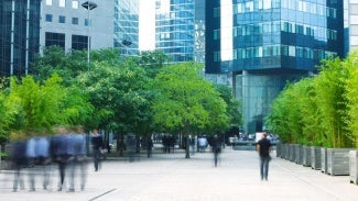 people walking around the exterior of buildings with green space