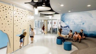 Penguin Corridor