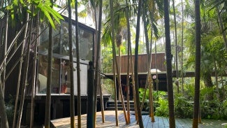Woodsong Residence alongside palm trees