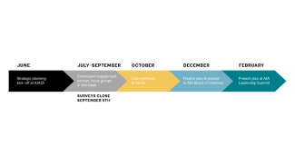Timeline of the AIA Strategic Plan process