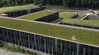 Vegetation on a roof