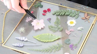 Pressed flowers on a glass dish