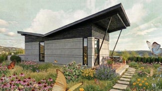 Butterfly House