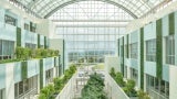 Interior space with a glass ceiling and plants 