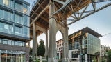 Watershed’s bioswales clean over 400,000 highly polluted gallons of water annually, much from the overhead aurora bridge, before that water flows into Lake Union, affecting migrating salmon.