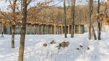 Snowy day at the building, sited near the marshy wetland of Westwood Lake, captures roof rainwater to minimize impact on the watershed.