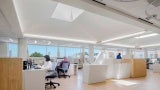 A grouping of white desks in front of a bank of windows where staff are working.