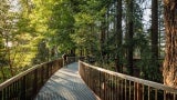 Thirty-four feet above the ground at its highest point, the circular walk weaves through mature trees, hovering above the hillside instead of following the topography.