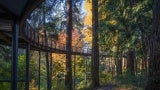 Trails and pathways below provide another perspective of the tree walk, arbor and gardens beyond.