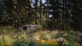 As the starting and ending point for the tree walk, the arbor and terrace establish a sense of arrival, as well as a spot to linger out of the elements beneath the dramatic cantilevered roof.