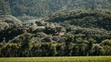 Madrone Ridge sited in the natural landscape of the sloped hillside.