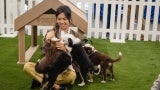 aia25 expo floor puppy park