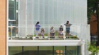 Rooftop classroom and garden at Powell Elementary School