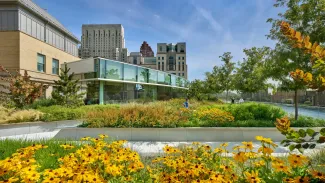 Outside greenery view of building