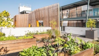 Gramercy Senior Housing rooftop edible garden