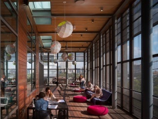 modern library siting area with wood detail and full windows