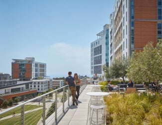 NTPLLN includes native and regionally appropriate plants that provide new habitats for birds and pollinators. expansive green spaces and accessible roof terraces throughout the campus offer biophilic benefits.