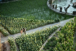 Arial view of farm. 