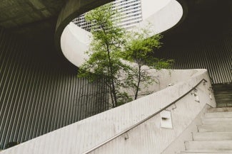 building with a tree in the middle