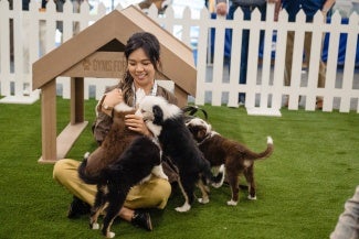 aia25 expo floor puppy park