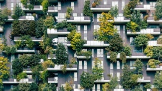 building covered with greenery