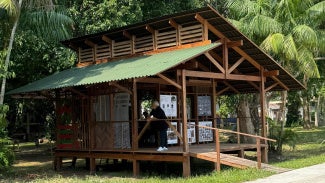 stilt house aia COP30 brazil