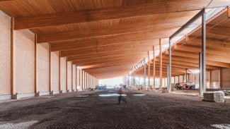 Timberlab's CLT facility