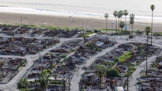 The Palisades area of Los Angeles after a wildfire