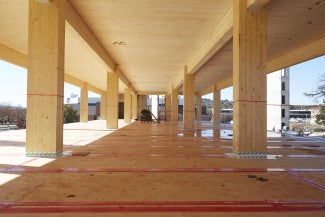 mass timber columns during construction process