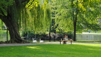 A woman sitting in a park