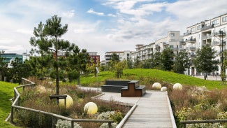 An urban park