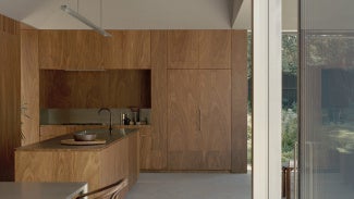 Naples Street House sink and paneling