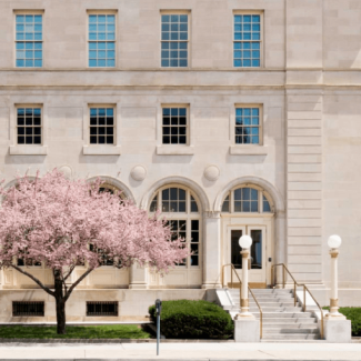 Exterior of white stone building with a cherry tree in bloom