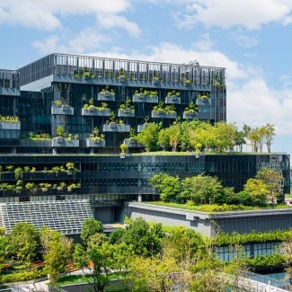 Building with trees