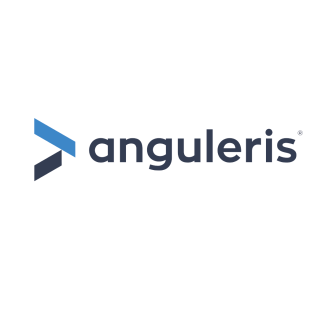 Anguleris logo