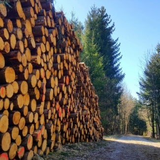 stacks of lumber outside