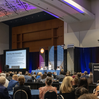 Delegates gather in a ballroom for the AIA Business meeting