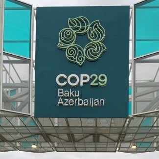 COP29 Sign