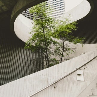building with a tree in the middle