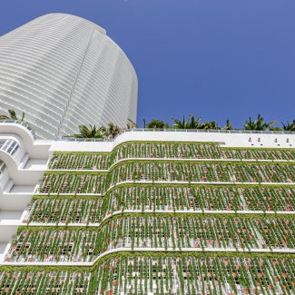 A building with plants on the side