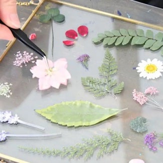 Pressed flowers on a glass dish