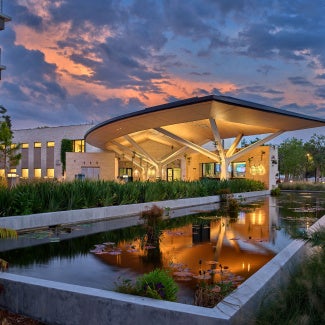 Marie Selby Botanical Gardens – Phase 1: The Welcome Center’s branching canopy shelters visitors while channeling light and air, inspired by coastal Florida’s resilient trees