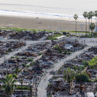 The Palisades area of Los Angeles after a wildfire